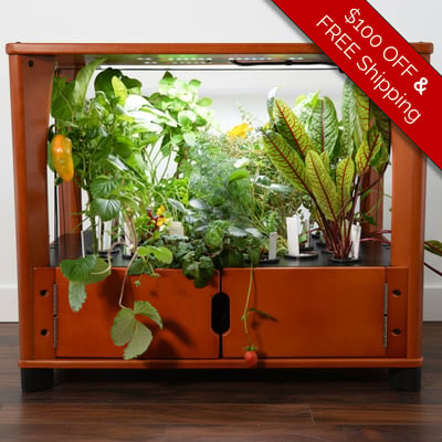 Aquager_Chefs_Organic_Set